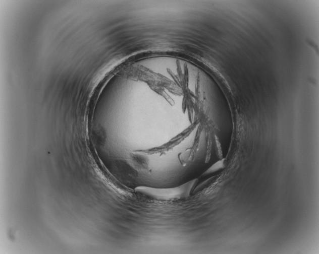 X0000101950935200808011042