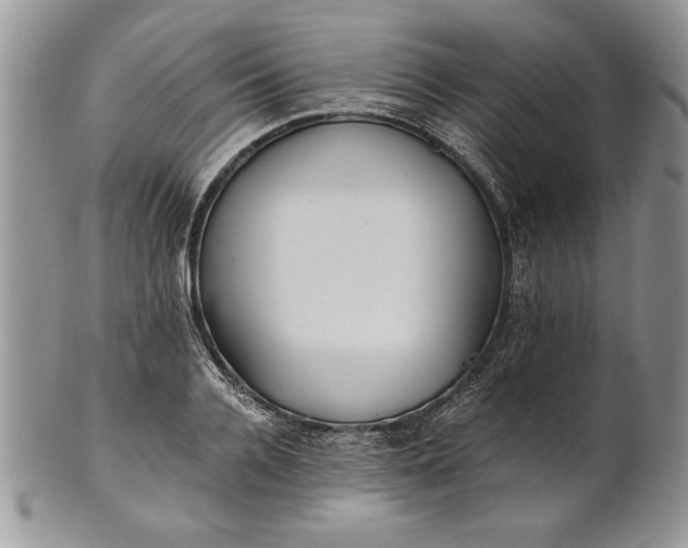 X0000101950936200808011042