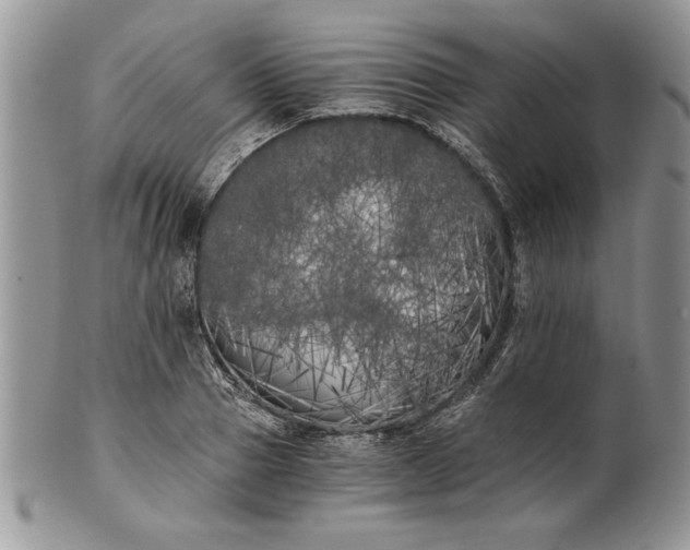 X0000101950937200808011042