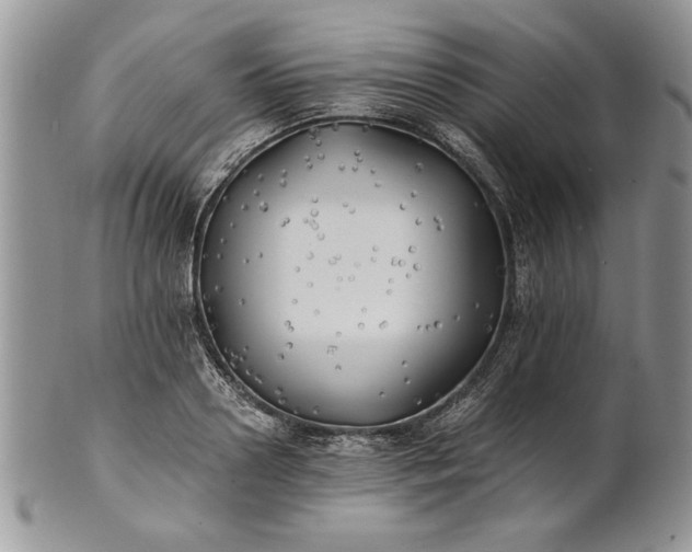 X0000101950938200808011042