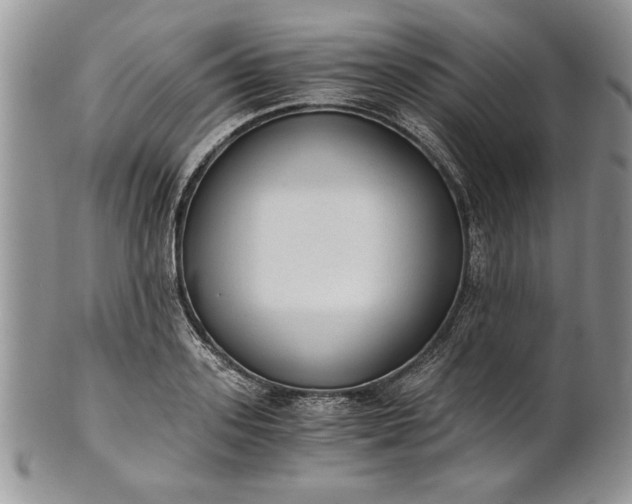 X0000101950939200808011042