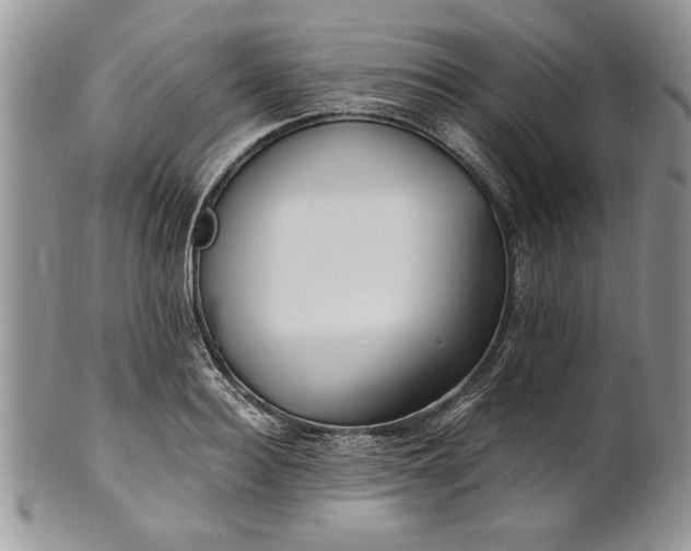 X0000101950940200808011042