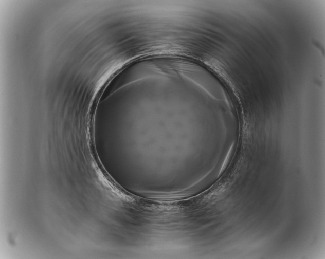 X0000101950941200808011042