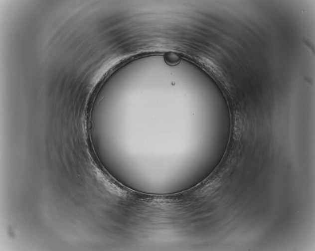 X0000101950942200808011042