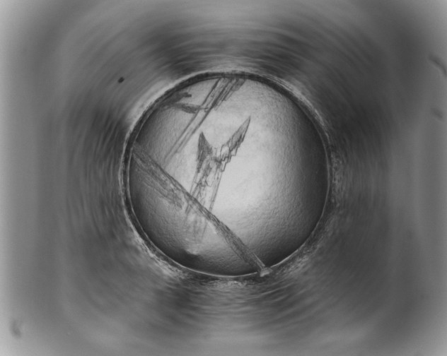 X0000101950943200808011042