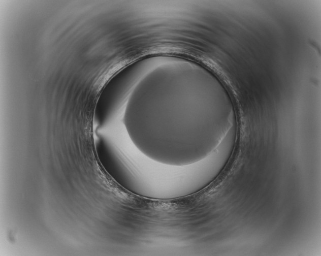 X0000101950945200808011042