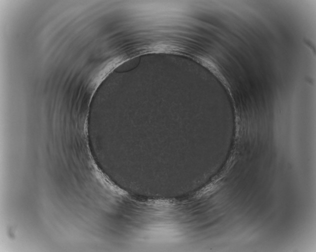 X0000101950946200808011042