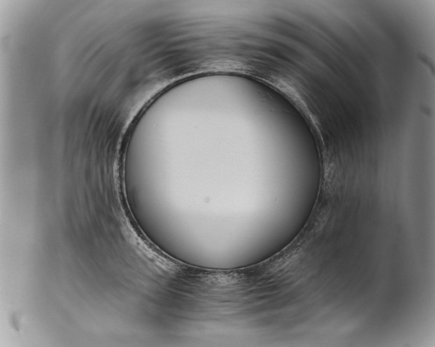 X0000101950947200808011042