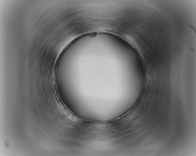 X0000101950948200808011042