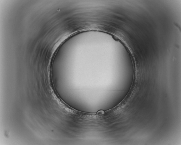 X0000101950949200808011042