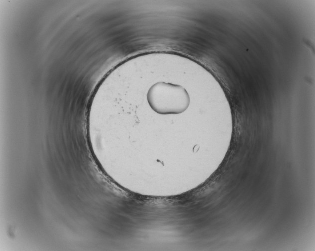 X0000101950950200808011042