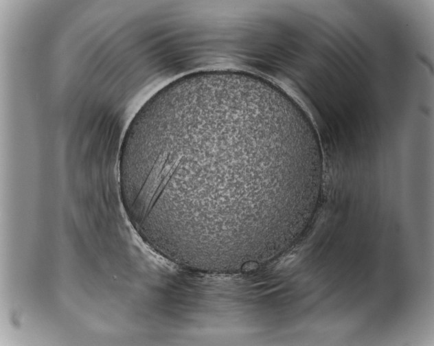 X0000101950951200808011042