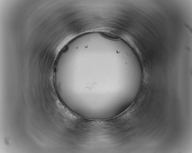 X0000101950952200808011043