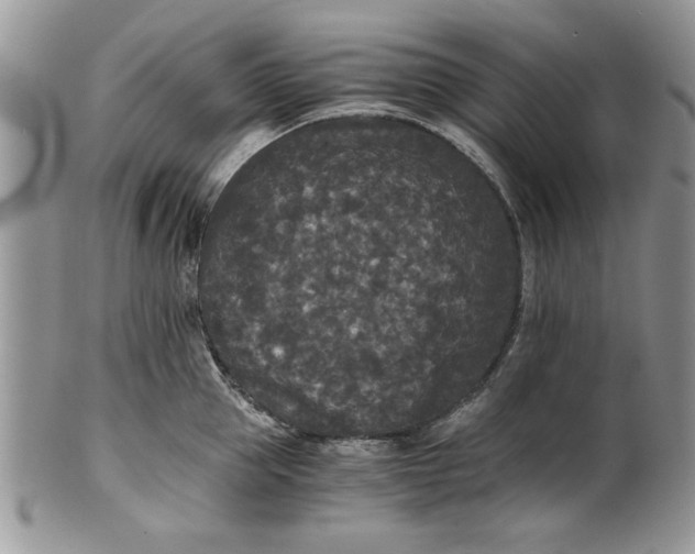 X0000101950953200808011043