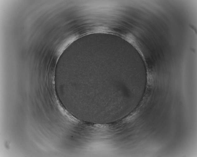 X0000101950954200808011043