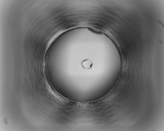 X0000101950955200808011043