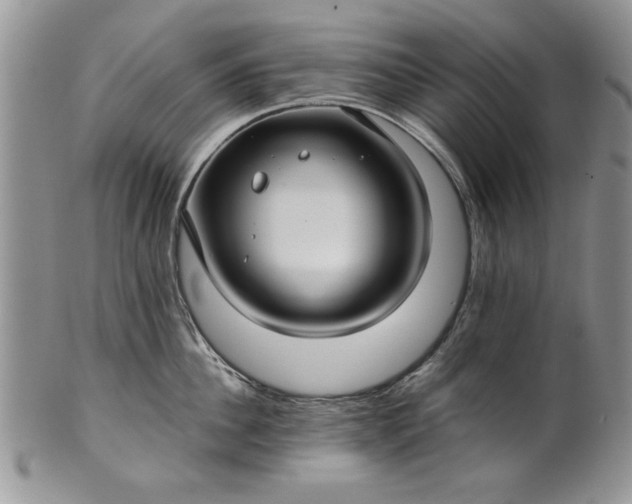 X0000101950956200808011043