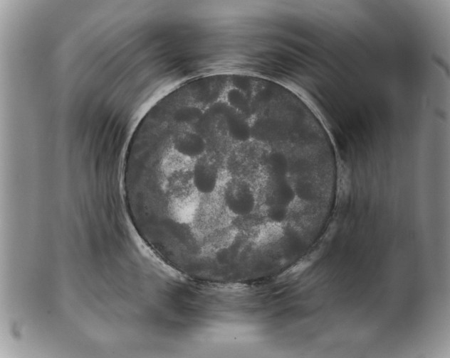 X0000101950957200808011043