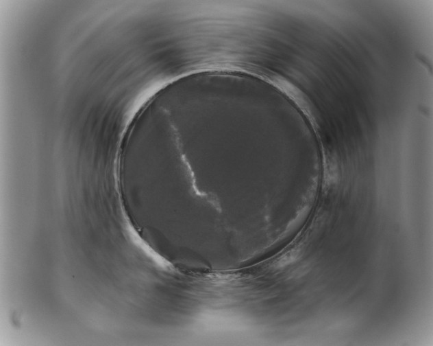 X0000101950958200808011043