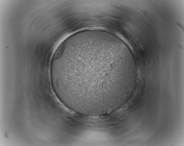 X0000101950959200808011043