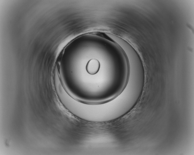 X0000101950960200808011043