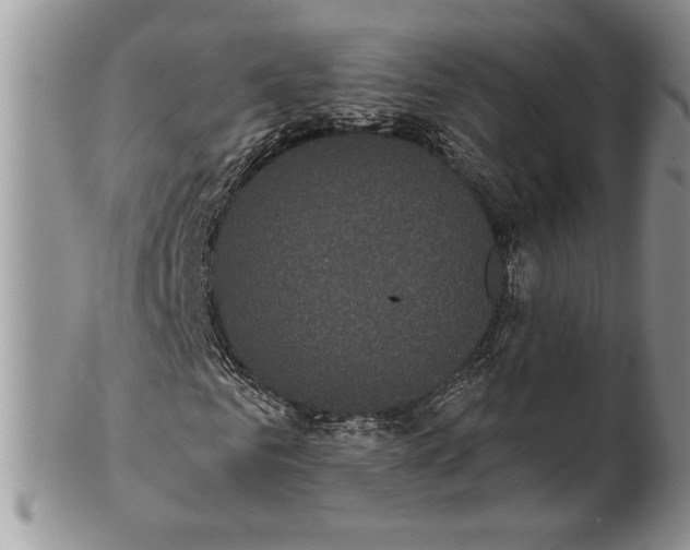 X0000101950961200808011042