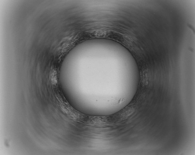 X0000101950962200808011042