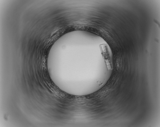 X0000101950964200808011042