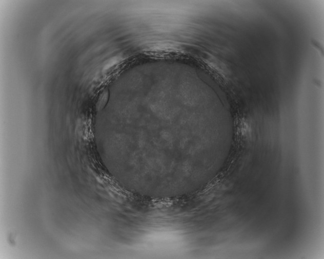 X0000101950965200808011042