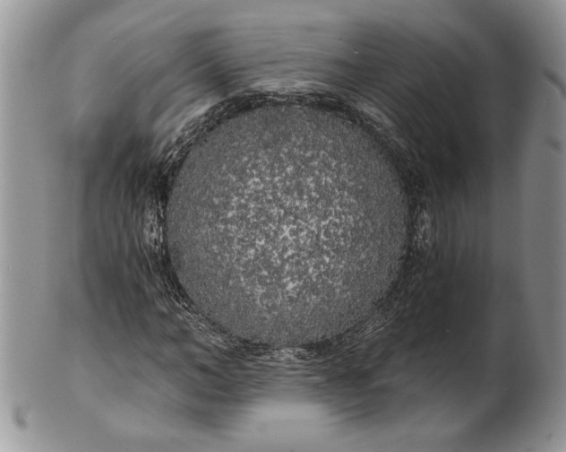 X0000101950966200808011042