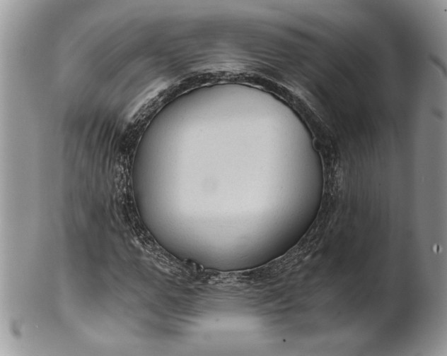 X0000101950967200808011042