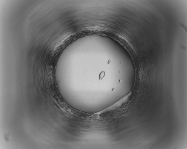 X0000101950968200808011042