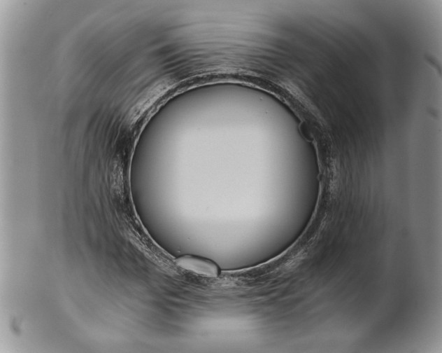 X0000101950969200808011042