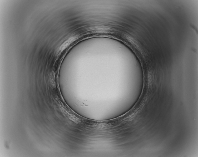 X0000101950970200808011042