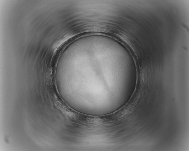 X0000101950971200808011042