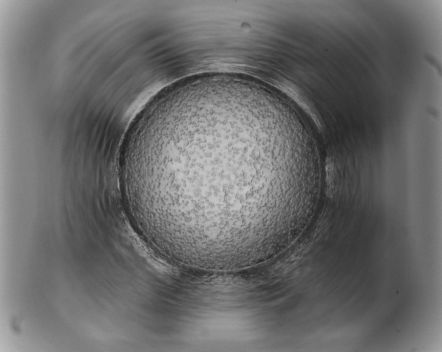 X0000101950972200808011042