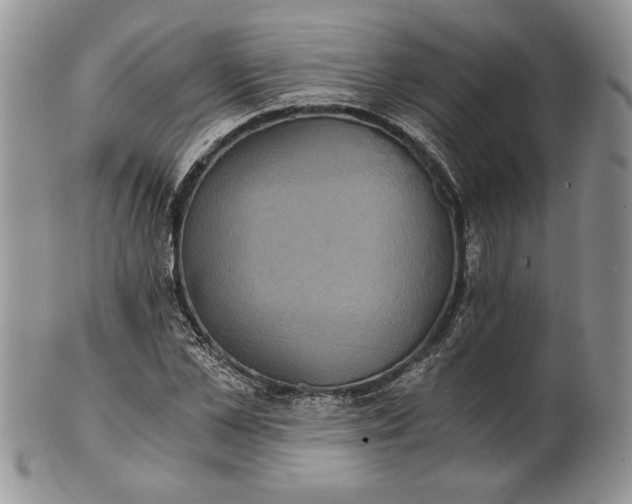 X0000101950973200808011042