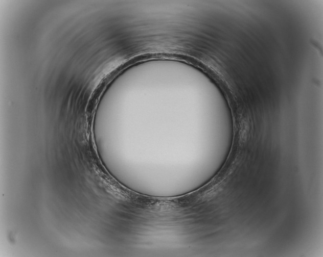 X0000101950974200808011042