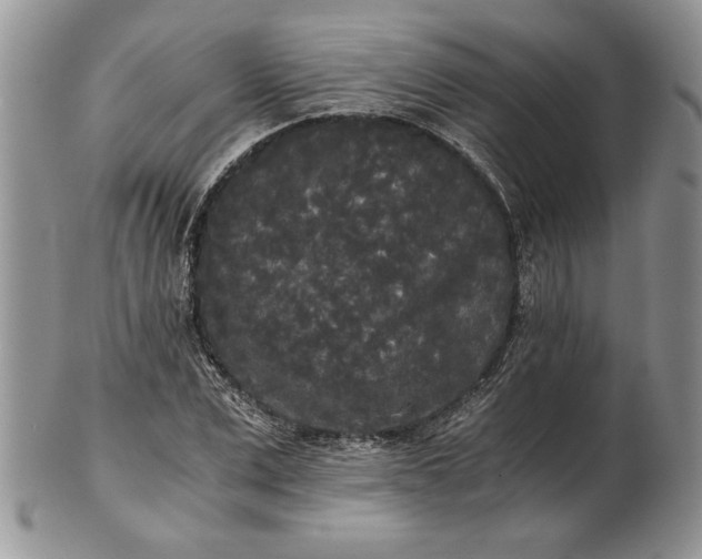 X0000101950975200808011042