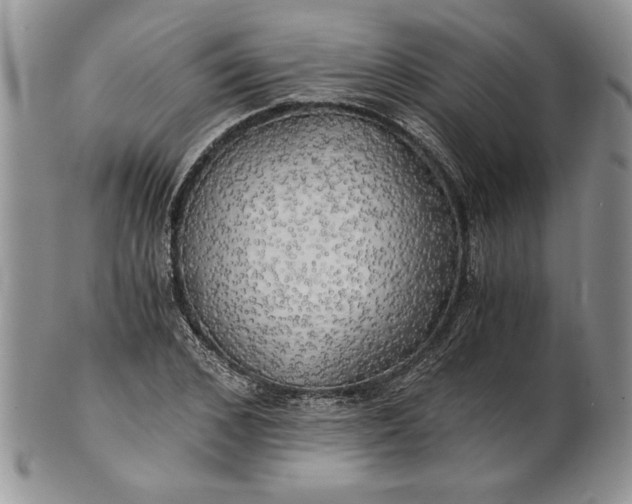 X0000101950976200808011042