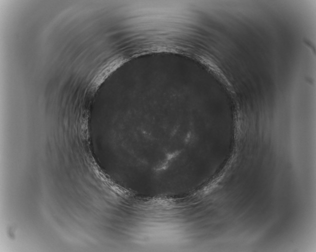 X0000101950977200808011042