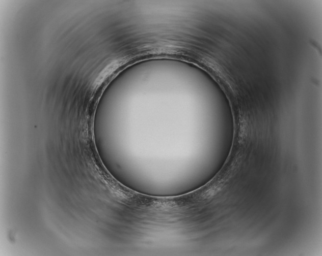 X0000101950978200808011042