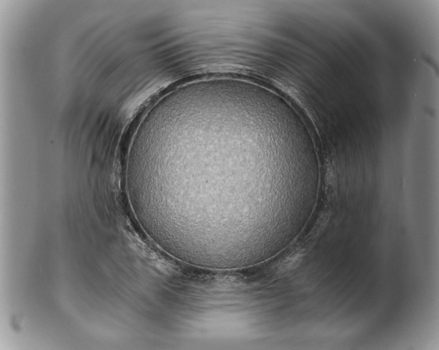 X0000101950979200808011042