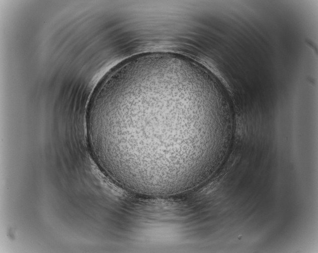 X0000101950980200808011042