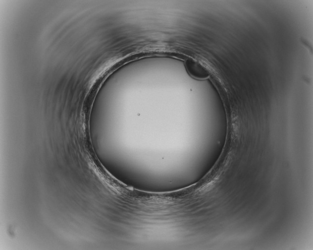 X0000101950981200808011042