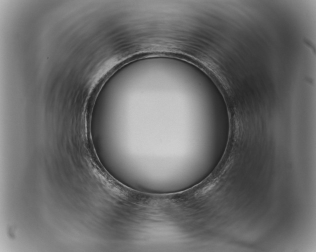 X0000101950982200808011042