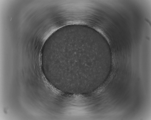 X0000101950983200808011042