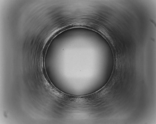 X0000101950984200808011042