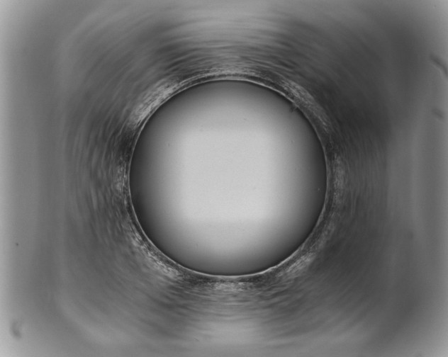 X0000101950985200808011042