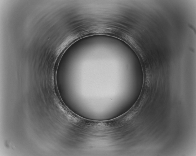 X0000101950986200808011042